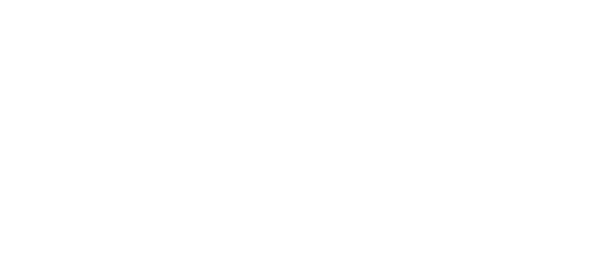 MAGNEO®